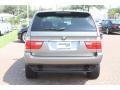 Sterling Grey Metallic - X5 3.0i Photo No. 8