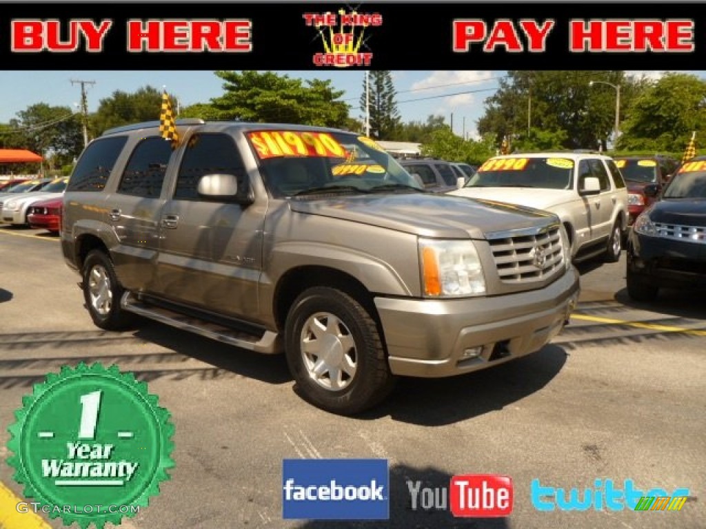 2003 Escalade  - Silver Sand / Shale photo #1