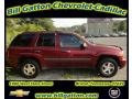 Majestic Red Metallic - TrailBlazer LS 4x4 Photo No. 1