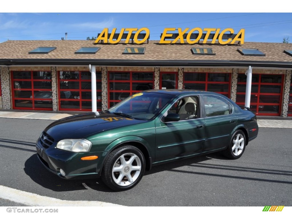 2000 Maxima SE - Sherwood Green Metallic / Blond photo #1