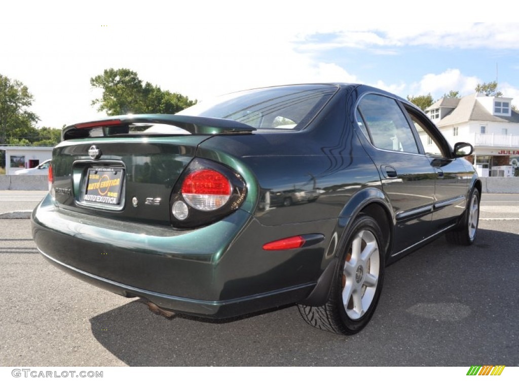 2000 Maxima SE - Sherwood Green Metallic / Blond photo #3