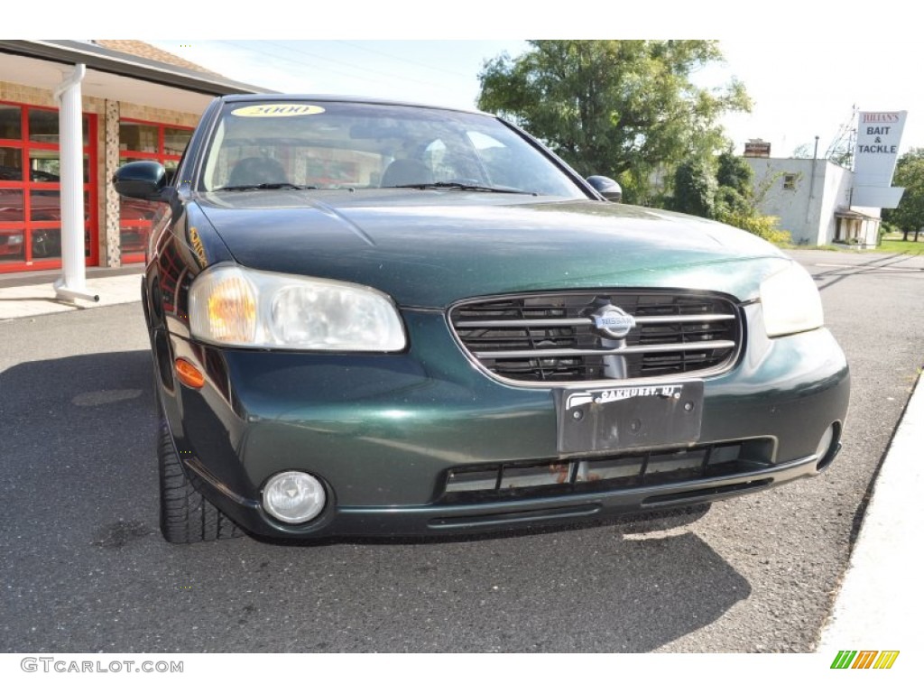 2000 Maxima SE - Sherwood Green Metallic / Blond photo #4