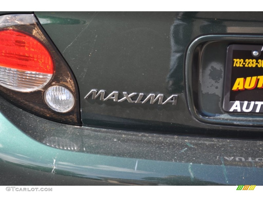 2000 Maxima SE - Sherwood Green Metallic / Blond photo #28