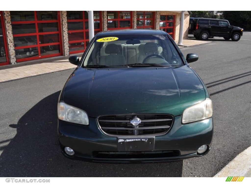2000 Maxima SE - Sherwood Green Metallic / Blond photo #32