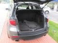 Polished Metal Metallic - RDX SH-AWD Technology Photo No. 23