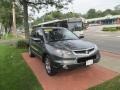 Grigio Metallic - RDX SH-AWD Technology Photo No. 3