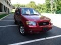 2006 Redfire Metallic Ford Escape Limited 4WD  photo #1