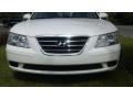 Powder White Pearl - Sonata GLS Photo No. 19