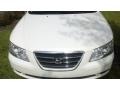 Powder White Pearl - Sonata GLS Photo No. 21
