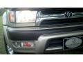 Dorado Gold Pearl - 4Runner Limited 4x4 Photo No. 30