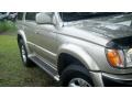 Dorado Gold Pearl - 4Runner Limited 4x4 Photo No. 31