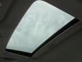 Tungsten Metallic - ES 350 Photo No. 12