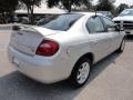 Bright Silver Metallic - Neon SXT Photo No. 9