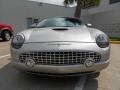 Platinum Silver Metallic 2004 Ford Thunderbird Premium Roadster Exterior