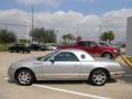 Platinum Silver Metallic 2004 Ford Thunderbird Premium Roadster Exterior