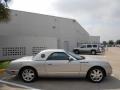 Platinum Silver Metallic - Thunderbird Premium Roadster Photo No. 8