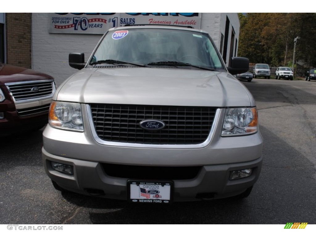 2003 Expedition XLT 4x4 - Silver Birch Metallic / Flint Grey photo #2