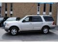 Silver Birch Metallic 2003 Ford Expedition XLT 4x4 Exterior