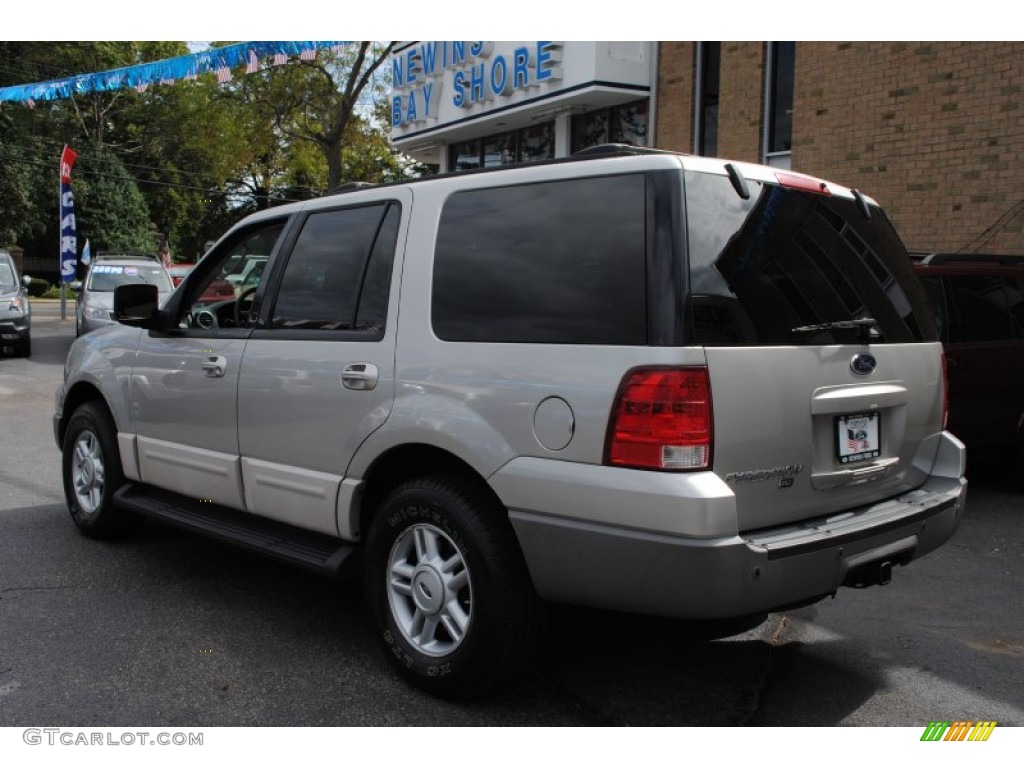 2003 Expedition XLT 4x4 - Silver Birch Metallic / Flint Grey photo #4