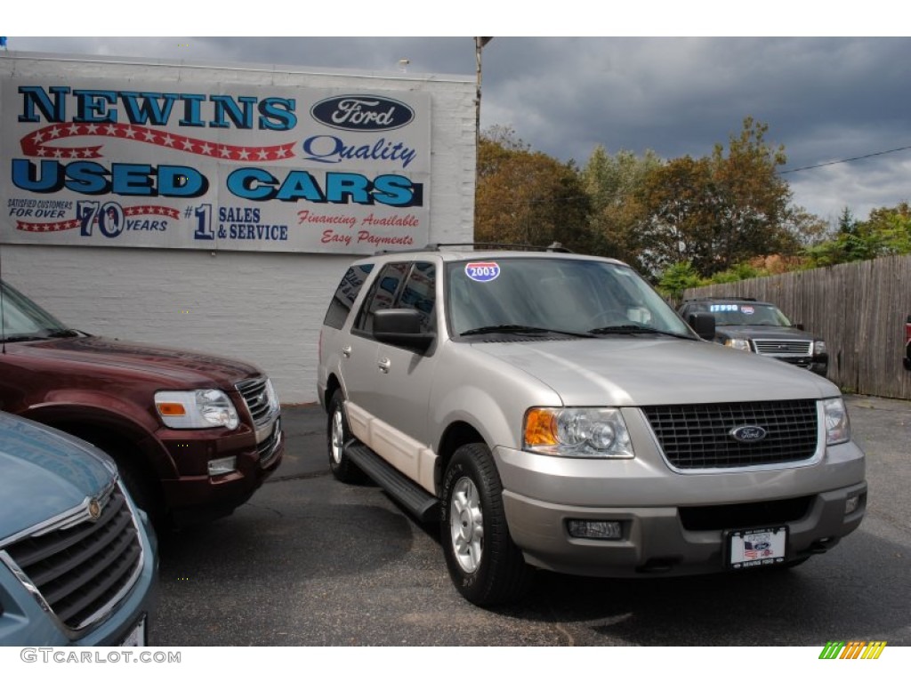2003 Expedition XLT 4x4 - Silver Birch Metallic / Flint Grey photo #7