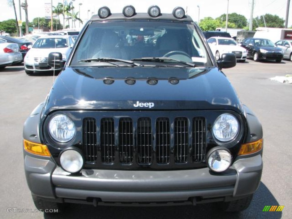 2006 Liberty Renegade - Black / Dark Khaki/Light Graystone photo #3