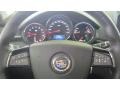 Black Raven - CTS -V Sedan Photo No. 27