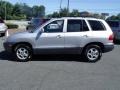 2004 Pewter Hyundai Santa Fe LX 4WD  photo #8