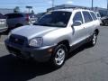 2004 Pewter Hyundai Santa Fe LX 4WD  photo #9