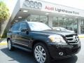 2010 Obsidian Black Metallic Mercedes-Benz GLK 350  photo #1