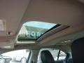 Ingot Silver - Taurus SHO AWD Photo No. 15
