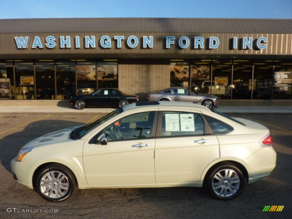 Natural Neutral Metallic Ford Focus