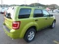 2012 Lime Squeeze Metallic Ford Escape XLT 4WD  photo #4