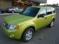 2012 Lime Squeeze Metallic Ford Escape XLT 4WD  photo #8