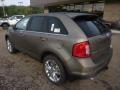 Mineral Grey Metallic 2012 Ford Edge Limited AWD Exterior
