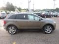 Mineral Grey Metallic 2012 Ford Edge Limited AWD Exterior