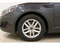 Platinum Graphite - Optima LX Photo No. 19