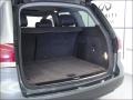 Reed Green Metallic - Touareg V6 Photo No. 7
