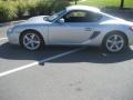 Arctic Silver Metallic - Cayman S Photo No. 12