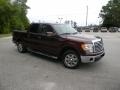2010 Royal Red Metallic Ford F150 XLT SuperCrew  photo #3