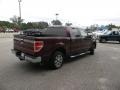 2010 Royal Red Metallic Ford F150 XLT SuperCrew  photo #5