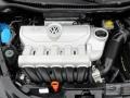 2.5L DOHC 20V 5 Cylinder Engine for 2008 Volkswagen New Beetle S Coupe #54356188