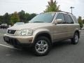 2001 Naples Gold Metallic Honda CR-V Special Edition 4WD  photo #1