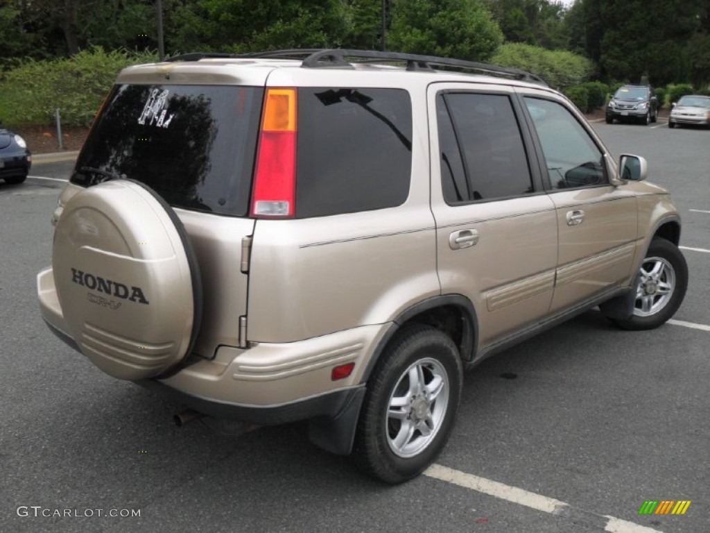 Naples Gold Metallic 2001 Honda CR-V Special Edition 4WD Exterior Photo #54356221