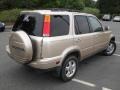  2001 CR-V Special Edition 4WD Naples Gold Metallic