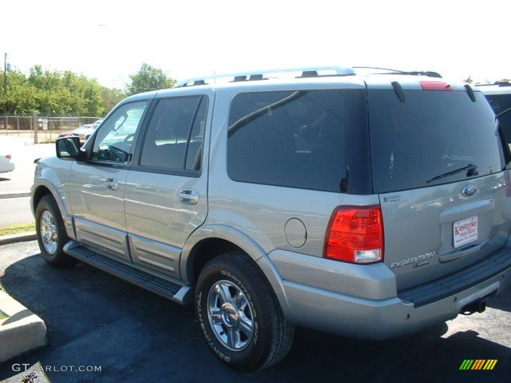 2006 Expedition Limited - Pewter Metallic / Medium Flint Grey photo #4