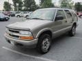 Light Pewter Metallic - Blazer LS 4x4 Photo No. 3