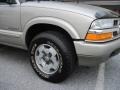 Light Pewter Metallic - Blazer LS 4x4 Photo No. 4