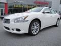Winter Frost White - Maxima 3.5 SV Photo No. 1