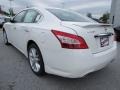 Winter Frost White - Maxima 3.5 SV Photo No. 3