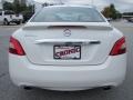Winter Frost White - Maxima 3.5 SV Photo No. 4
